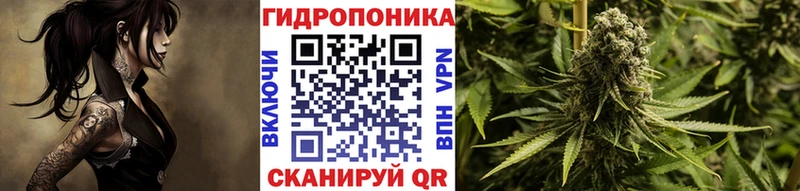 купить наркотик  Лагань  Каннабис план 
